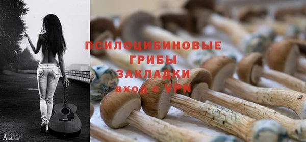 синтетический гашиш Дмитровск