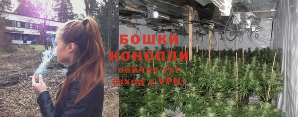 гидра Дмитриев