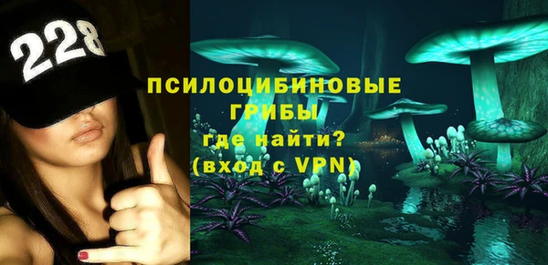 гидра Дмитриев