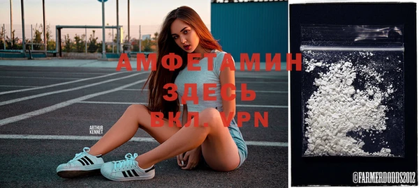 соль ск Дмитров