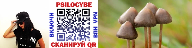 Галлюциногенные грибы прущие грибы  Юхнов 